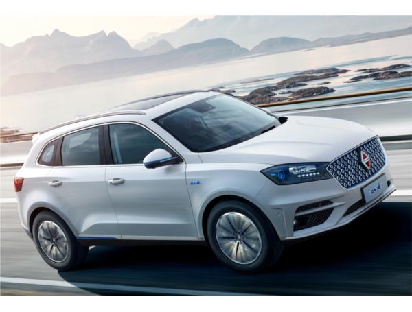  بورگوارد-BX7